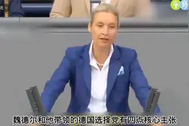 好家伙！德国的魏德尔飙中文，丝滑程度直接原地封神视频封面