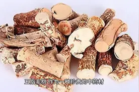 五指毛桃的功效与作用