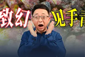 致幻后能看精灵跳舞？毒蘑菇对人体伤害不小，切莫“以身试毒”！视频封面
