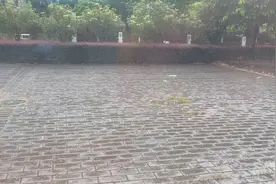 热带雨淋？广东高温后天降大雨 边下雨地面边“冒烟”宛若上蒸锅