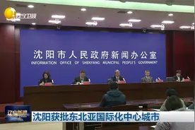 沈阳获批东北亚国际化中心城市视频封面