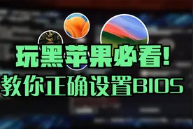 想玩黑苹果?必看教程!教你正确设置BIOS,顺利安装黑苹果系统！视频封面