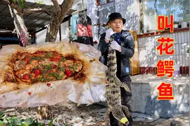 1700买只30斤鳄鱼，大冬做“叫花鳄鱼”， 嘴片都吃麻了视频封面