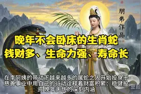 晚年不会卧床的生肖蛇，钱财多、生命力强、寿命长视频封面