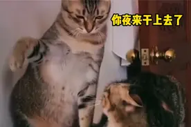 碰花碰草别碰情，动手动脚别动心！视频封面