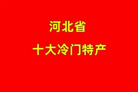 河北省不为人知的十大冷门特产视频封面
