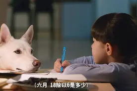 狗狗是护娃狂魔，最后舍命救主人视频封面