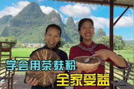 茶麸粉用来洗头防掉发防白发，除此之外还有大用途，学会全家受益视频封面