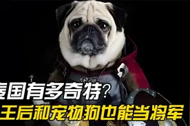 泰国有多奇特？王后和宠物狗也能当将军，30万军队1700名将军视频封面