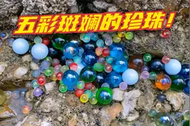 表弟在礁石区发现了彩色珍珠！五彩斑斓的太漂亮了！还抓到大鱼！视频封面