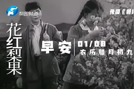 曲林清话 豫剧《朝阳沟》唱词赏析视频封面