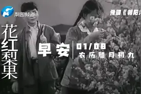 曲林清话 豫剧《朝阳沟》唱词赏析视频封面