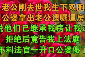 老公刚去世我生下双胞，公婆拿出老公遗嘱逼房，说他们已继承我房视频封面