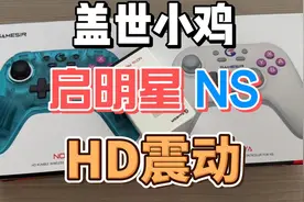 盖世小鸡 启明星NS版 带 HD震动 的 蓝牙手柄