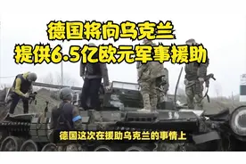 德国将向乌克兰提供6.5亿欧元军事援助视频封面