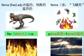 《闪记高考3500词》- fierce凶猛的；残酷的；猛烈的