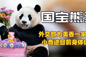 小奇迹过完在美最后一个生日，外交部称美香一家将在今年年底回国视频封面