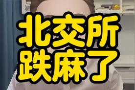北交所跌麻了视频封面