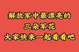 解放军中最漂亮的三朵军花，大家快来一起看看吧视频封面