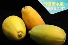 CCTV生活圈：木瓜，被转基因技术拯救的水果视频封面