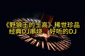 《野狼王的士高》稀世珍品   经典DJ串烧     好听的DJ