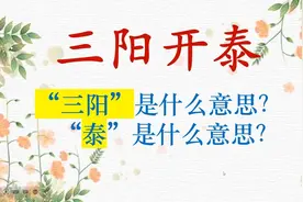每天一个成语||三阳开泰视频封面