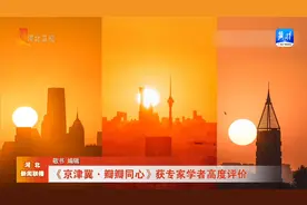 《京津冀·瓣瓣同心》获专家学者高度评价视频封面