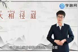 大相径庭是什么意思，大相径庭视频封面