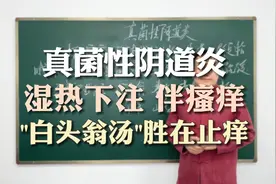 真菌性阴道炎，秽浊多是湿证，白头翁汤，清利湿热兼具止痒视频封面