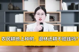 农民耕地上种树违法吗，能不能拿补偿？律师这么说！视频封面