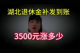 湖北养老金补发到账了， 退休工资是3500元， 看看能补发多少呢？视频封面