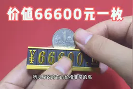 这个品种的一元硬币，价值66600元一枚，你家有么视频封面