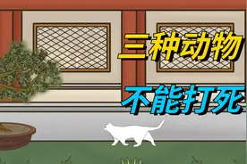 老人说：家中来了三种动物，不能打死，你知道是什么动物吗？视频封面