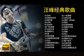 汪峰40首经典歌曲合集，被誉为“摇滚天王”，首首动听值得欣赏！