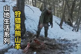 山地生活系列：大佬狩猎百公斤黑熊，猎人千米雪山追踪山羊！视频封面
