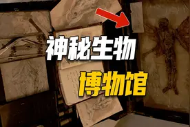 精灵、龙、狼人竟然真实存在？英国版山海经：梅林博物馆，生物学视频封面