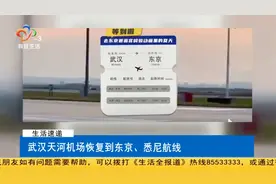 武汉天河机场恢复到东京、悉尼航线视频封面