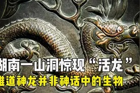 湖南山洞惊现“活”龙，浑身布满龙鳞，难道龙并非神话中生物？视频封面