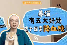 养猫对健康有5大好处，这个因素可辅助降血糖！糖友推荐此猫种视频封面