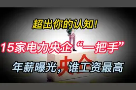 超出你的认知！15家电力央企“一把手”年薪曝光，谁工资最高视频封面