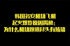 韩国务安机场飞机起火爆炸原因揭秘：为什么机场跑道尽头有堵墙视频封面