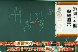 倪师针灸730带脉三穴道带脉五枢维道和腰背痛治疗原则区别西医