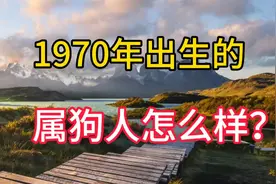 生肖运势！1970年出生的属狗人怎么样？视频封面