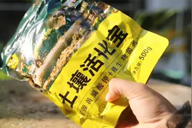 家庭养花浇水不透土壤板结变硬怎么办呢？