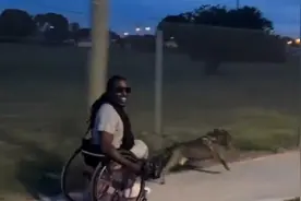 佛罗里达可以不活，但是不能没活