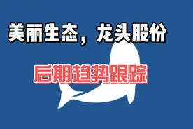 美丽生态，龙头股份趋势分析