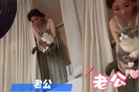 猫咪学女主人叫“老公”，声音超甜撒娇个不停，男主人反应亮了！视频封面