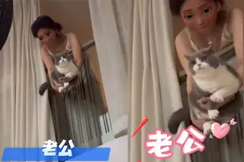 猫咪学女主人叫“老公”，声音超甜撒娇个不停，男主人反应亮了！视频封面