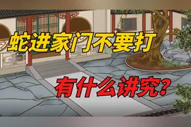 老人说“蛇进家门不要打”，有什么讲究？早看早知道！视频封面