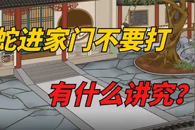 老人说“蛇进家门不要打”，有什么讲究？早看早知道！视频封面